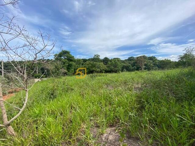 Terreno para Venda em Lagoa Santa - 2