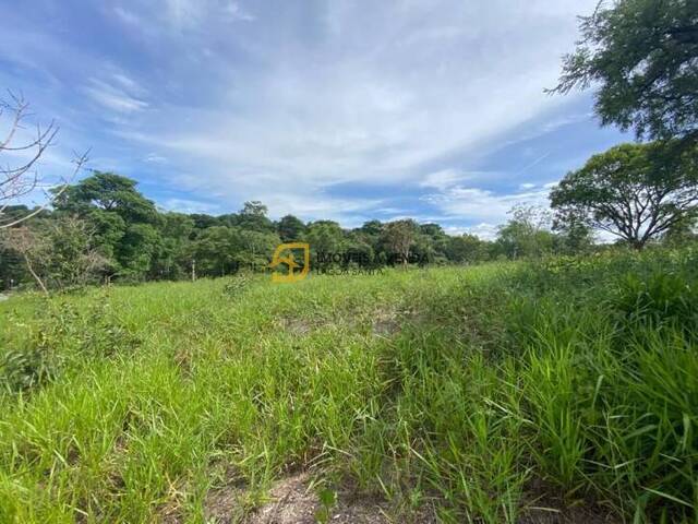 Terreno para Venda em Lagoa Santa - 3