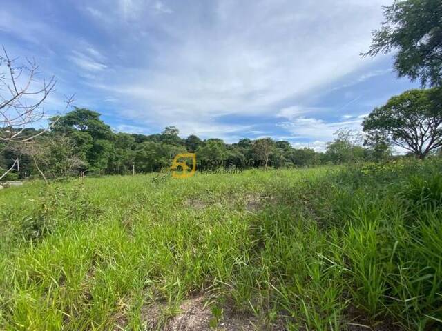 Terreno para Venda em Lagoa Santa - 4
