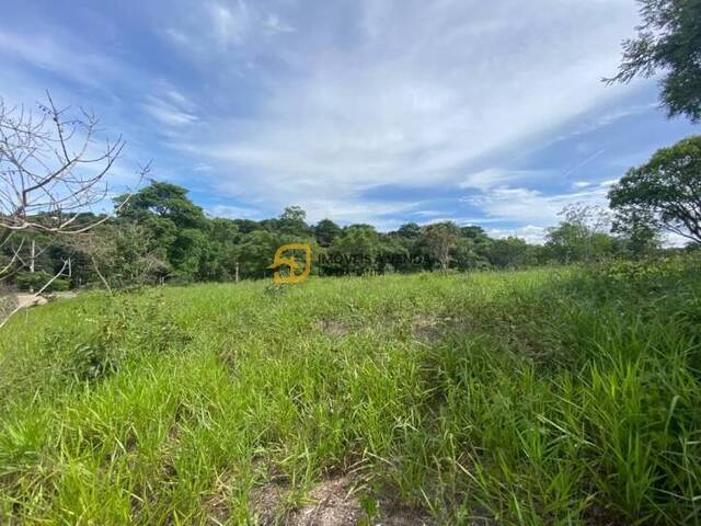 Terreno para Venda em Lagoa Santa - 5