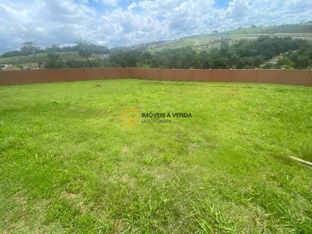 Terreno para Venda em Vespasiano - 4