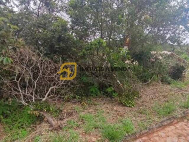 #TE0471 - Terreno para Venda em Jaboticatubas - MG - 3