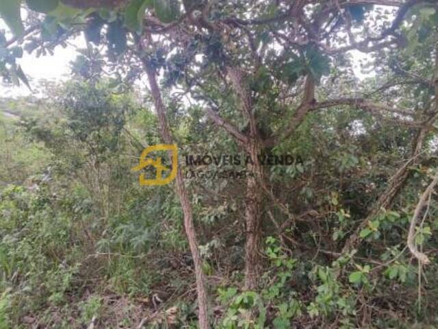 #TE0471 - Terreno para Venda em Jaboticatubas - MG