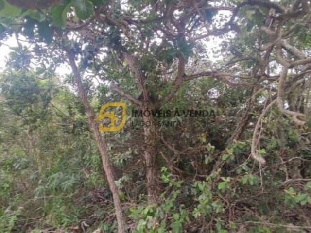 Terreno para Venda em Jaboticatubas - 4