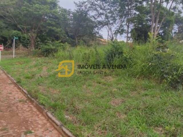 #AR0029 - Área para Venda em Jaboticatubas - MG - 3