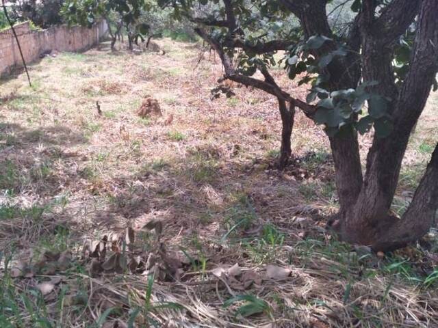 #TE0479 - Terreno para Venda em Lagoa Santa - MG - 1