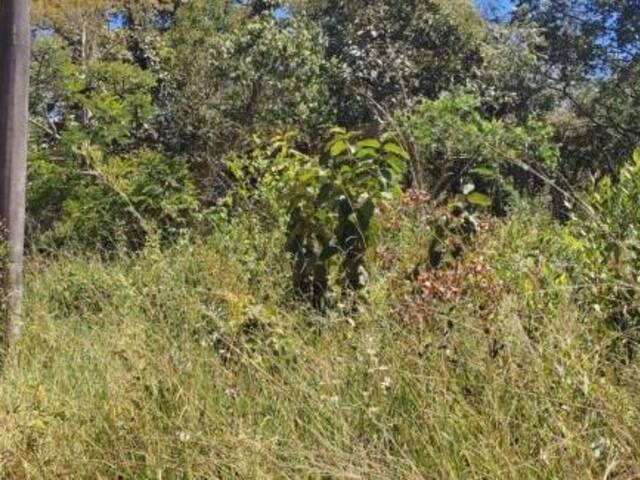 #TE0503 - Terreno para Venda em Lagoa Santa - MG - 1