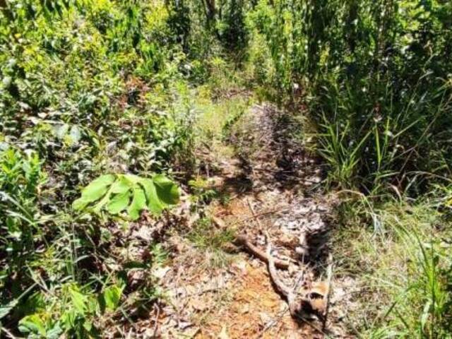 #TE0506 - Terreno para Venda em Lagoa Santa - MG - 1