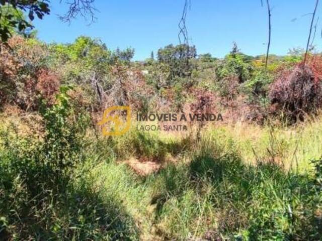 Terreno para Venda em Lagoa Santa - 5