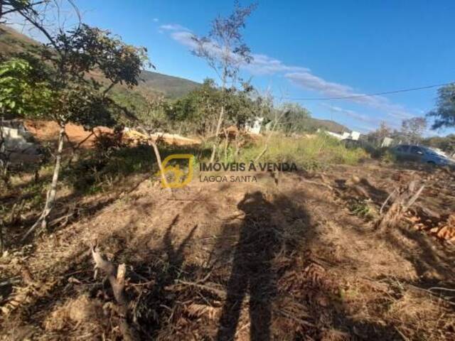 Terreno para Venda em Lagoa Santa - 2