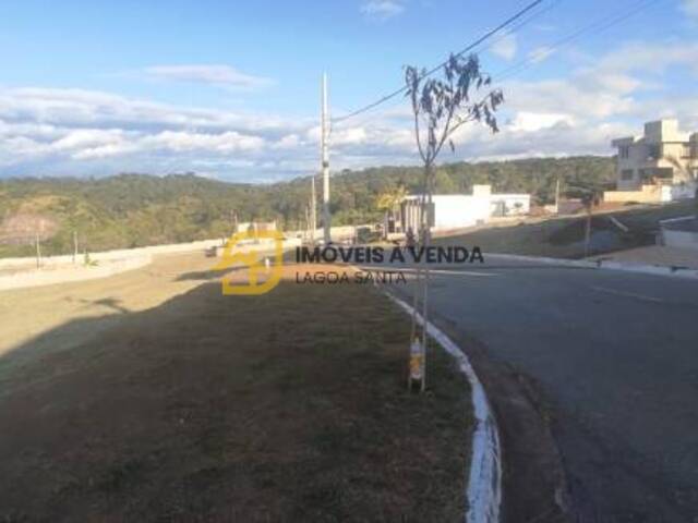 Terreno para Venda em Vespasiano - 4