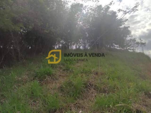 Terreno para Venda em Vespasiano - 4