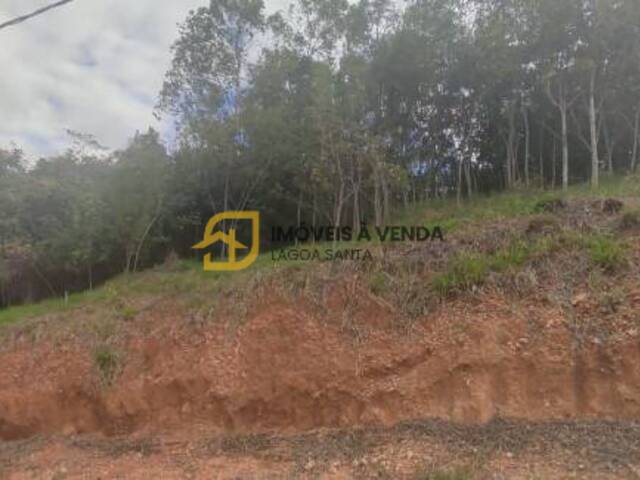 Terreno para Venda em Vespasiano - 5