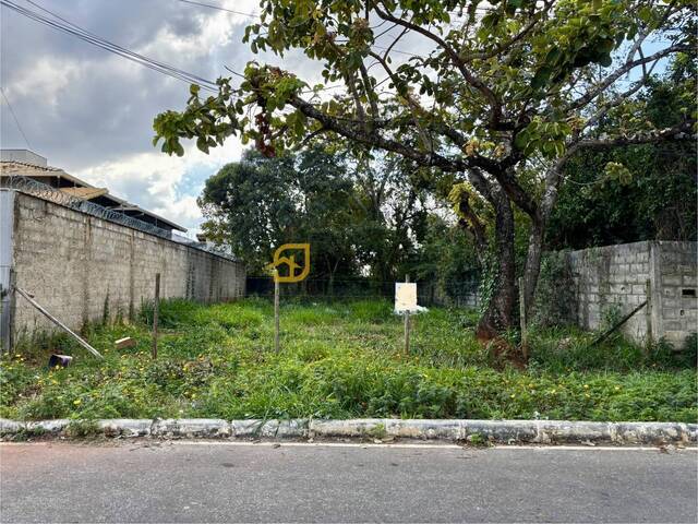 Venda em Lundcea - Lagoa Santa