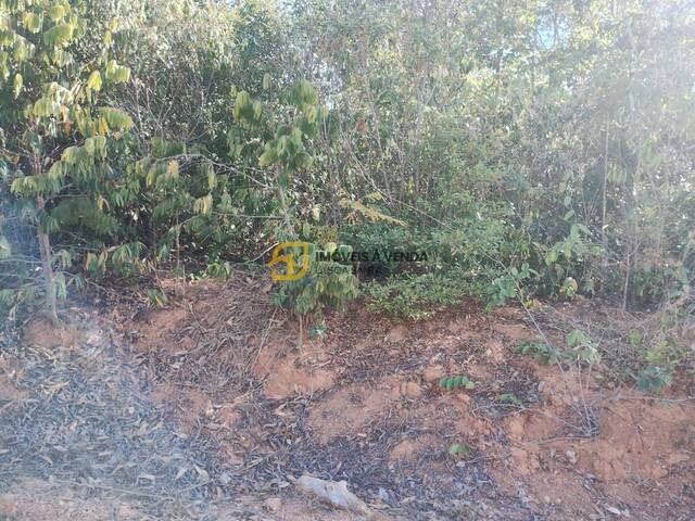 Terreno para Venda em Lagoa Santa - 5