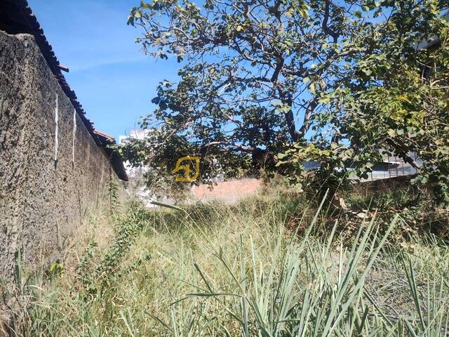 Área para Venda em Lagoa Santa - 4