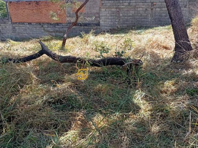 #1743 - Área para Venda em Lagoa Santa - MG