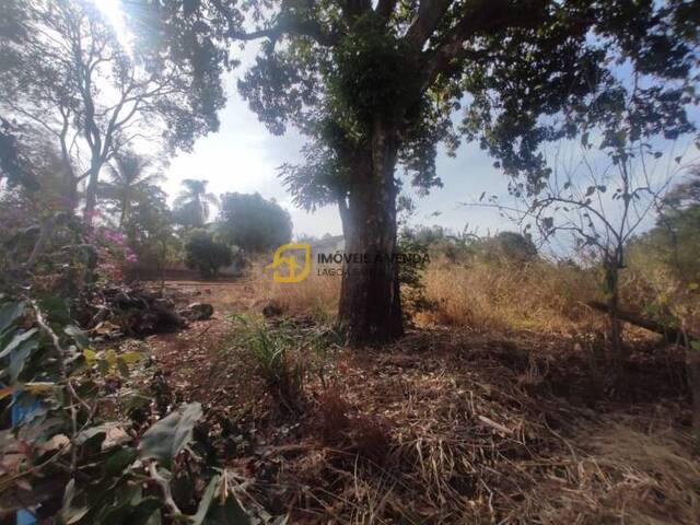 Terreno para Venda em Lagoa Santa - 5