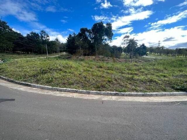 #TE0637 - Terreno para Venda em Vespasiano - MG - 1