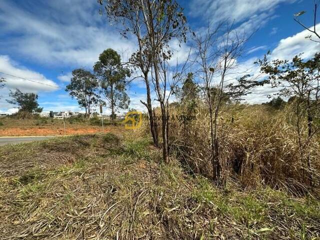 Terreno para Venda em Vespasiano - 5