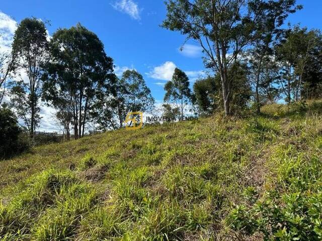 Terreno para Venda em Vespasiano - 4
