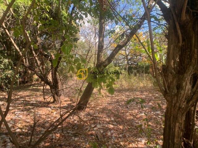 Terreno para Venda em Lagoa Santa - 2