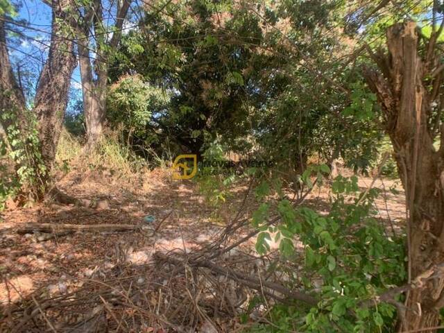 Terreno para Venda em Lagoa Santa - 3
