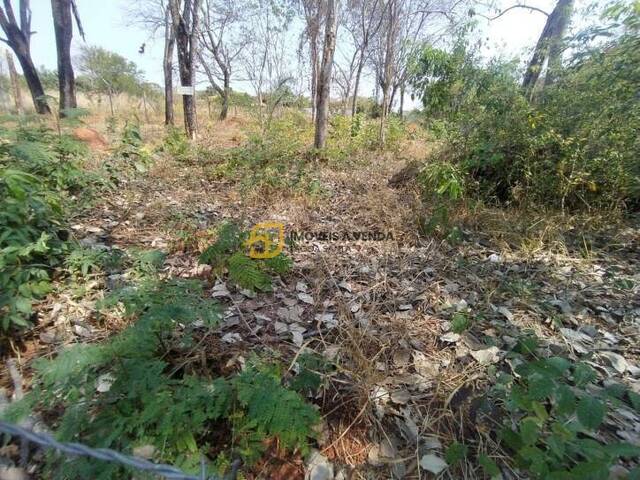 Terreno para Venda em Lagoa Santa - 5