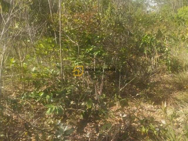 #TE0139 - Terreno para Venda em Jaboticatubas - MG - 3