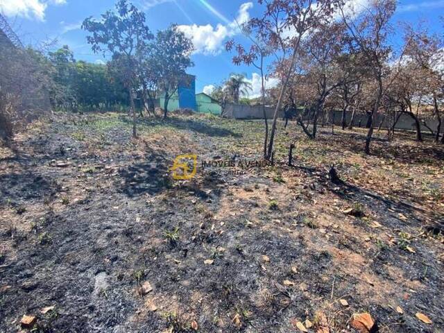 Terreno para Venda em Lagoa Santa - 5