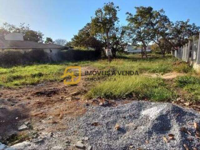 Terreno para Venda em Lagoa Santa - 2