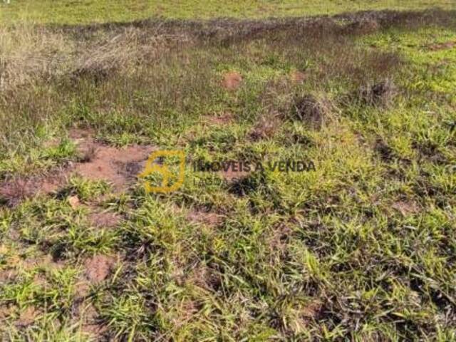 Terreno para Venda em Lagoa Santa - 5