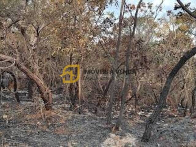 Terreno para Venda em Lagoa Santa - 4