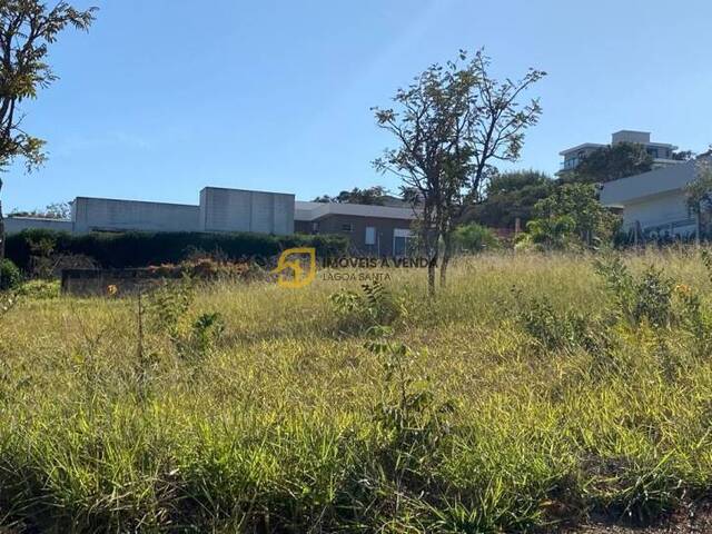 Terreno para Venda em Lagoa Santa - 3