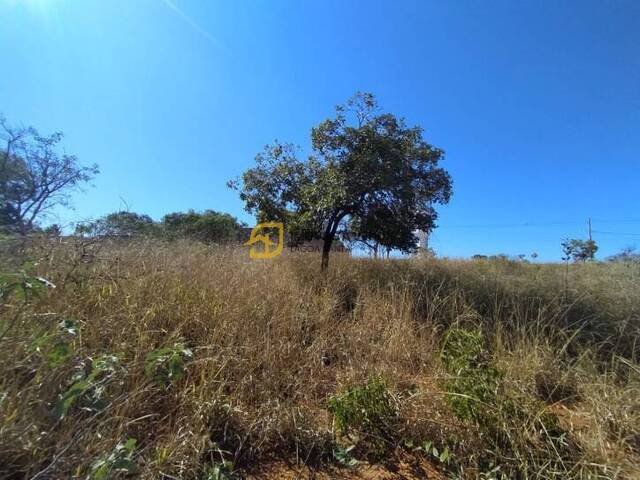 Terreno para Venda em Lagoa Santa - 2