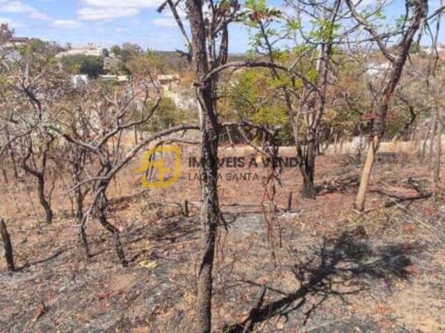 Terreno para Venda em Lagoa Santa - 3