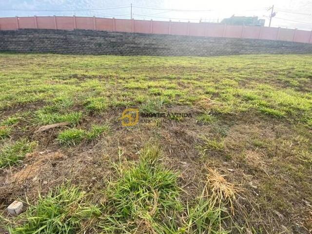 Terreno para Venda em Vespasiano - 5