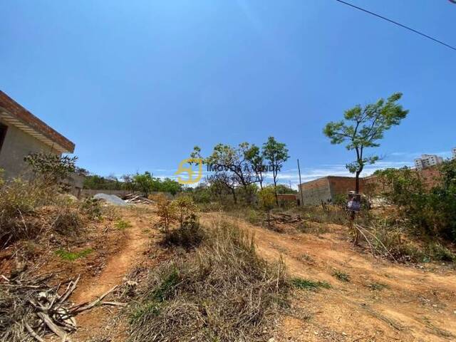 Terreno para Venda em Lagoa Santa - 2